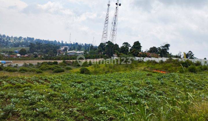 Tanah Strategis Cipada Bandung Barat Cocok Investasi Kebun 1