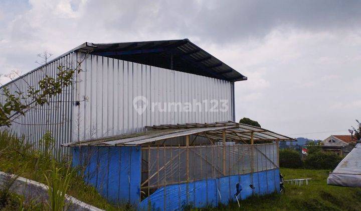 Tanah Strategis Cipada Bandung Barat Cocok Investasi Kebun 3