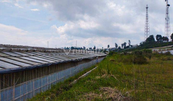 Tanah Strategis Cipada Bandung Barat Cocok Investasi Kebun 6