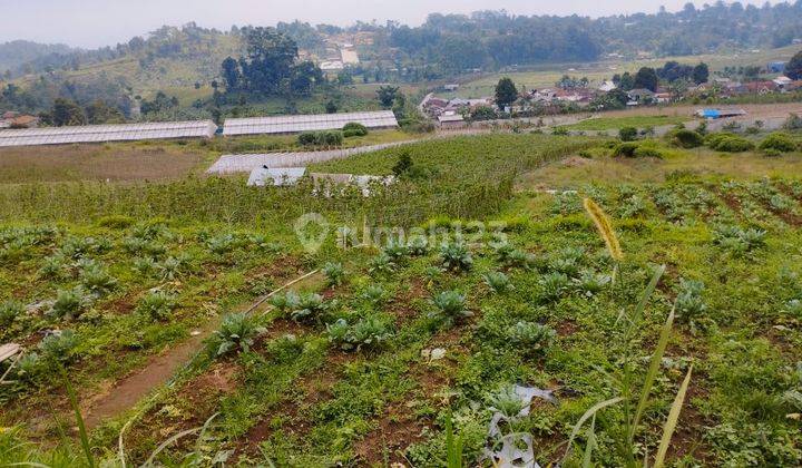 Tanah Strategis Cipada Bandung Barat Cocok Investasi Kebun 7