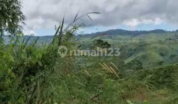 Land for Sale, Cheap, Spacious, Ready to Build in Cipanas Cianjur. Land for Sale, Cheap, Spacious, Ready to Build in Cipanas Cianjur.