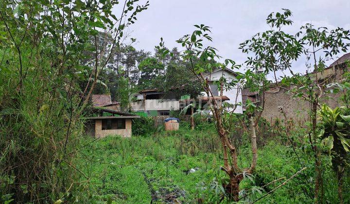 Kavling Murah Cocok Untuk Villa di Jayagiri Lembang Bandung 2