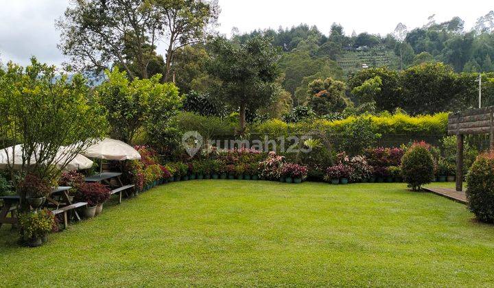 4 Villa Nyaman Asri Cantik di Maribaya Lembang Bandung 2