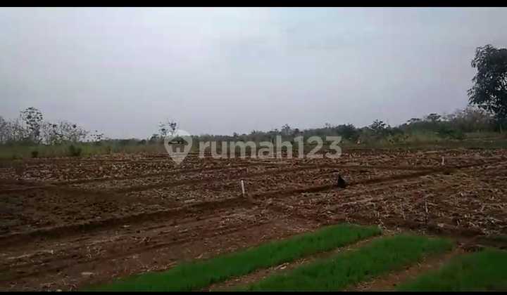 Tanah Siap Bangun dekat Bandara dan Tol Kertajati Majalengka Tanah Siap Bangun dekat Bandara dan Tol Kertajati Majalengka