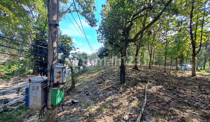 Tanah Strategis Tepat di Pintu Masuk Subang Cocok untuk Usaha Tanah Strategis Tepat di Pintu Masuk Subang Cocok untuk Usaha