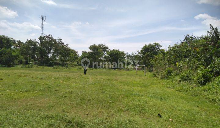 Tanah sudah rata/matang 3