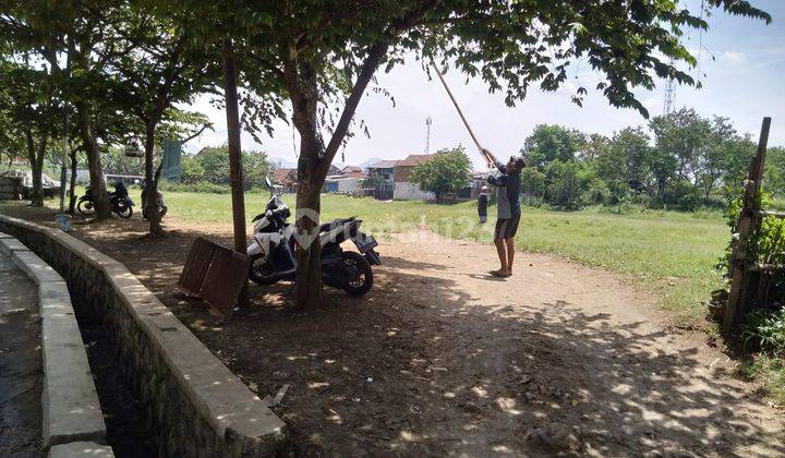 Tanah sudah rata/matang 5