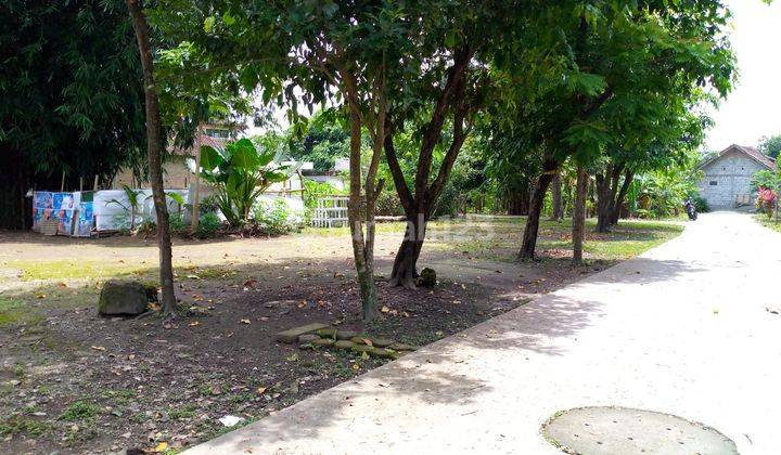 Jl.berbah Sleman Tanah Standar Perumahan, Dp 135juta Bisa Kpr 6