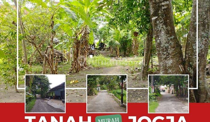 Tanah Murah Jogja Strategis Dkt Jogja Kota,50 Meter Jalan Pleret 1