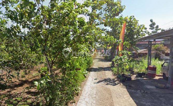 Rumah Modern 15 Menit UNY Semanu Gunungkidul Dekat Wonosari Kota 2