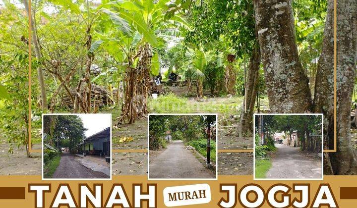 Tanah Strategis SHM Pekarangan, 50m Dari Jl Pleret Banguntapan 1