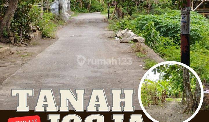 Tanah Murah Jogja Investasi Menguntungkan 50 Meter Jalan Pleret 1