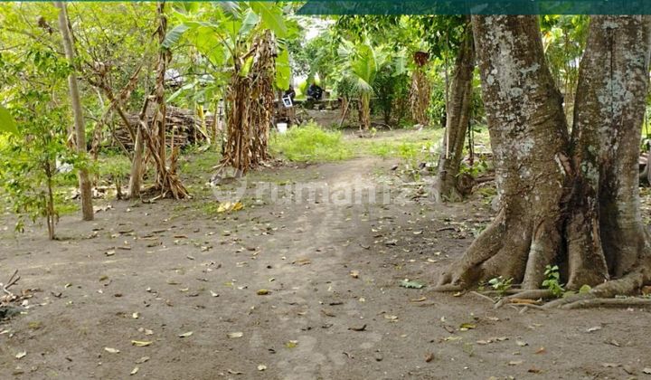 Tanah Murah Siap Bangun Hunian 50M Jl Pleret Jambidan Banguntapan Tanah Murah Siap Bangun Hunian 50M Jl Pleret Jambidan Banguntapan