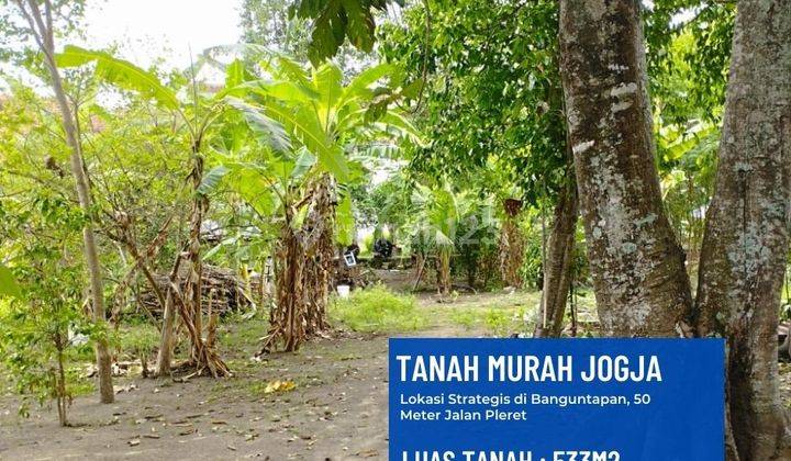 Tanah di Banguntapan,50 Meter Jalan Pleret Luas 533m2, SHM 1