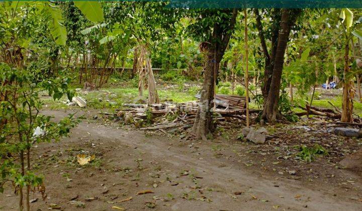 Tanah Kavling Jogja SHM Dekat Giwangan 50m Jl Pleret Banguntapan 1