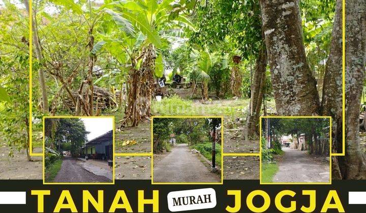 Tanah Murah Jogja Investasi Mengungkan Di Banguntapan Bantul  1