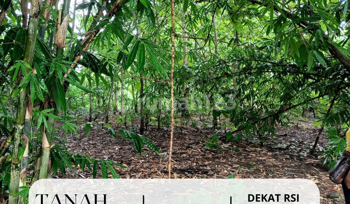 Tanah Murah di Karangmojo Dekat Rsi Gunungkidul Wonosari Kota SHM Tanah Murah di Karangmojo Dekat Rsi Gunungkidul Wonosari Kota SHM