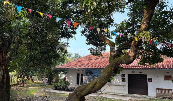 Dijual Rumah Siap Huni Di Jalan Raya Sumedang Cocok Utk Usaha 2