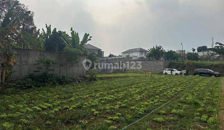 Kavling Siap Bangun Dalam Perumahan di Setiabudi Regency 2