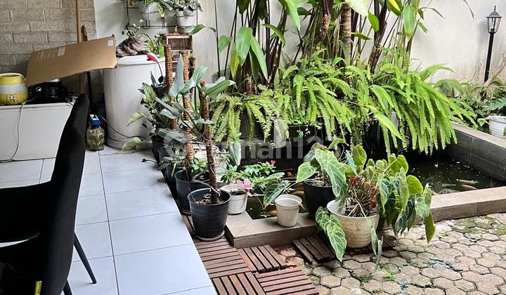 Affordable Luxury!! Spacious 152 Legendary House in Cibubur Resort Furnished Affordable Luxury!! Spacious 152 Legendary House in Cibubur Resort Furnished