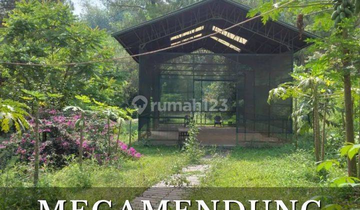 jual tanah,Villa, kebun dan kolam ikan Megamendung Bogor 1