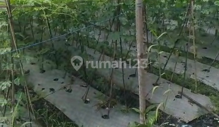 Jual Cepat Kavling Tanah Di Batujajar Kbb 2