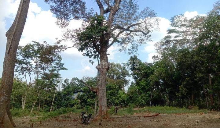 Kavling Murah Meriah Unnes Gunung Pati 2