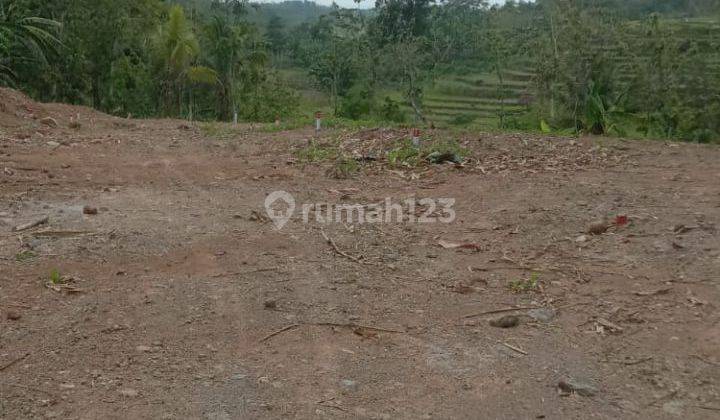 Rumah Bagus Gondorio Polimarin 2