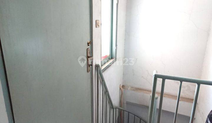 Rumah 2¼ Lantai di Taman Palem Lestari . SHM 9