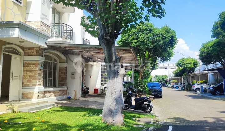 Green Lake City House. Corner. Ready to Live In. Flood-Free. 2