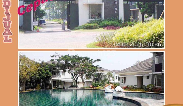 Rumah Pondok Hijau Golf Gading Serpong Shm 1