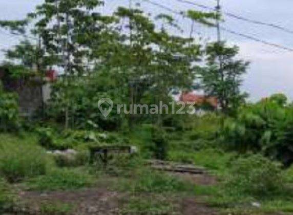 DIJUAL TANAH JL. RAYA RACI BANGIL PASURUAN  JATIM O jalan Raya  1
