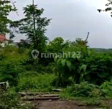 DIJUAL TANAH JL. RAYA RACI BANGIL PASURUAN  JATIM O jalan Raya  2