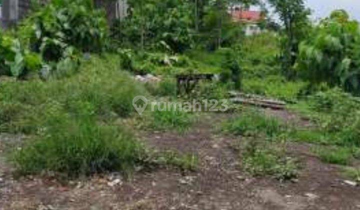 DIJUAL TANAH JL. RAYA RACI BANGIL PASURUAN  JATIM O jalan Raya  5