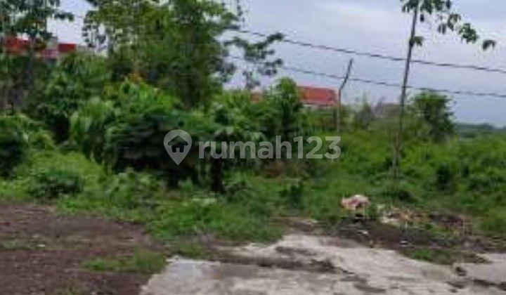 DIJUAL TANAH JL. RAYA RACI BANGIL PASURUAN  JATIM O jalan Raya  6