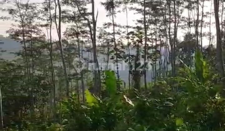 Dijual Lahan Dekat Wisata Bukit Pinus, Wisata Banyu Mili