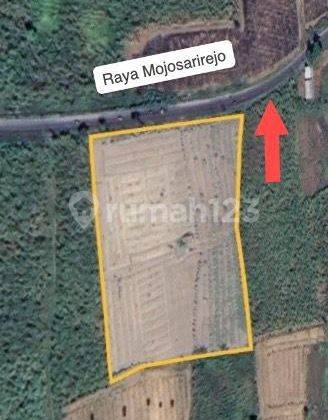 Tanah Strategis Nol Raya Mojosarirejo, Driyorejo Gresik  1