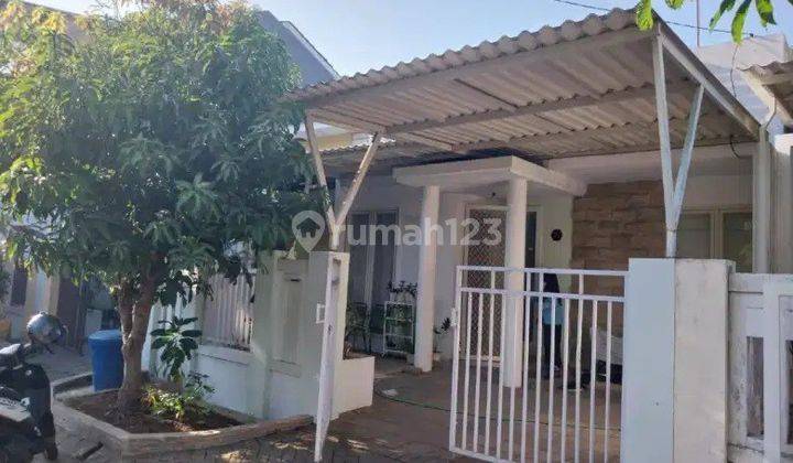 Rumah Bagus Siap Huni Graha Tirta Cluster Bromelia Waru Sidoarjo 1