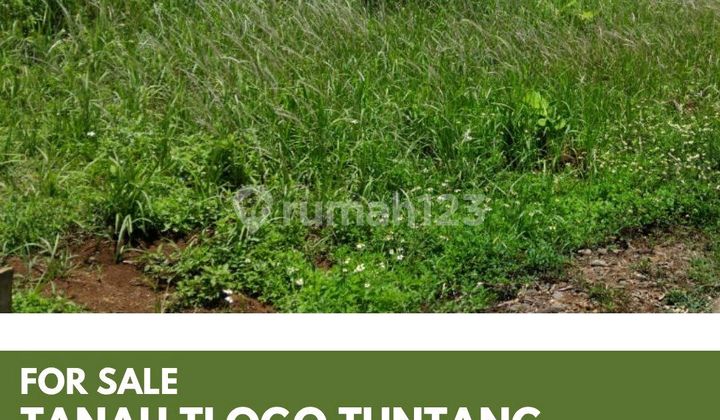 Land in Salatiga Land in Salatiga