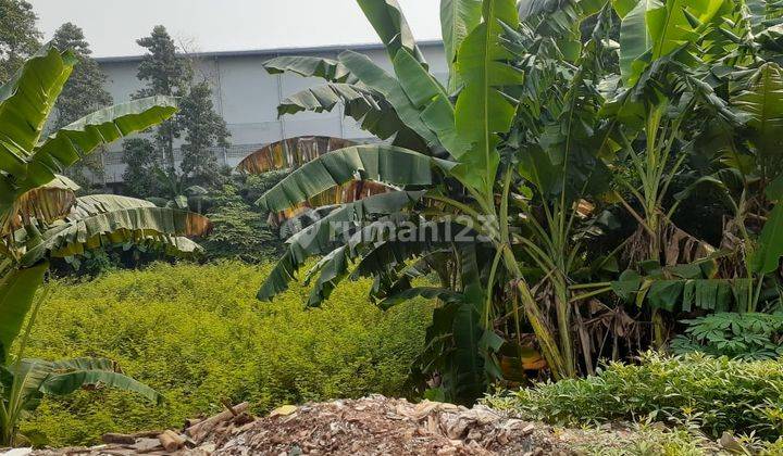 Disewakan Tanah Jelupang Raya Serpong Utara Tangerang Selatan Dekat Tol Jelupang 1