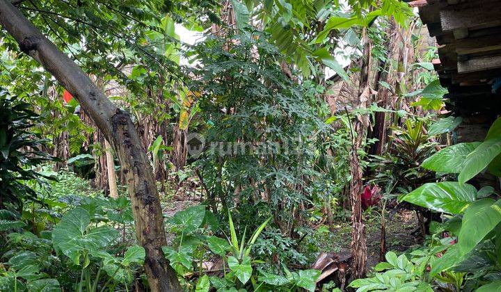 Tanah Strategis Dkt Bogor Nirwana L1180m2, Dibawah Pasaran 8