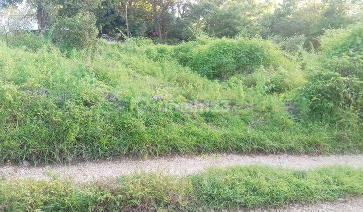 Dijual Tanah Murah Tarus Kupang 1
