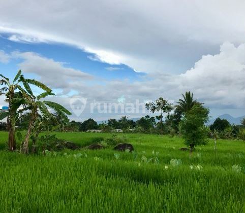 DIJUAL TANAH DENGAN PEMANDANGAN CANTIK GUNUNG SALAK (NB) DIJUAL TANAH DENGAN PEMANDANGAN CANTIK GUNUNG SALAK (NB)