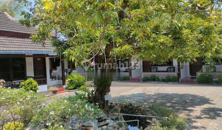 Hotel Aktif Dan Terawat di Pangandaran 7