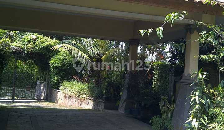 Rumah dan Kosan berhalaman luas di Ciomas Bogor  12