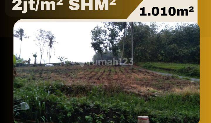 Jual Tanah Jatinangor SHM 300 meter UNPAD Gerbang Belakang  1