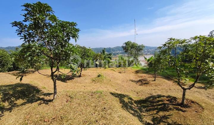 Jual Kebun Durian Alpukad Di Bogor Sudah Berbuah 5ha Shm Jual Kebun Durian Alpukad Di Bogor Sudah Berbuah 5ha Shm