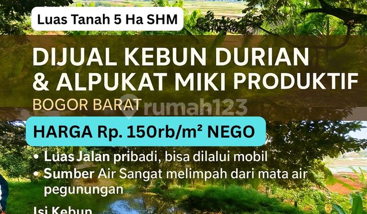 Jual Kebun Durian Alpukad Di Bogor Sudah Berbuah 5ha Shm Jual Kebun Durian Alpukad Di Bogor Sudah Berbuah 5ha Shm