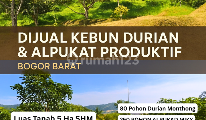 Dijual Kebun Durian Di Leuwiliang Bogor Sudah Berbuah 5ha Shm Dijual Kebun Durian Di Leuwiliang Bogor Sudah Berbuah 5ha Shm