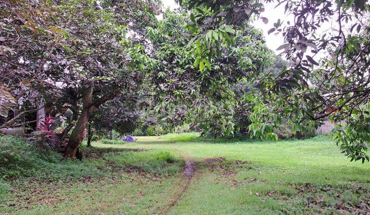 Tanah di Jalan Alternatif Cibubur, Gunung Sindur Bogor 2